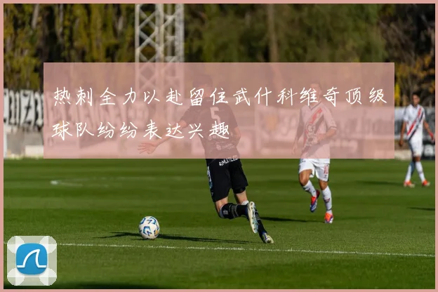 热刺全力以赴留住武什科维奇顶级球队纷纷表达兴趣
