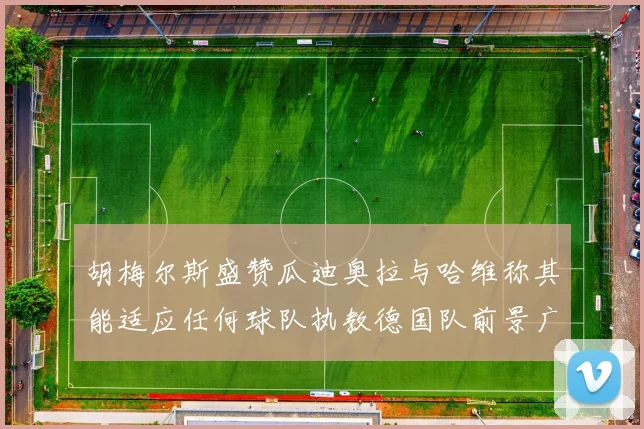 胡梅尔斯盛赞瓜迪奥拉与哈维称其能适应任何球队执教德国队前景广阔