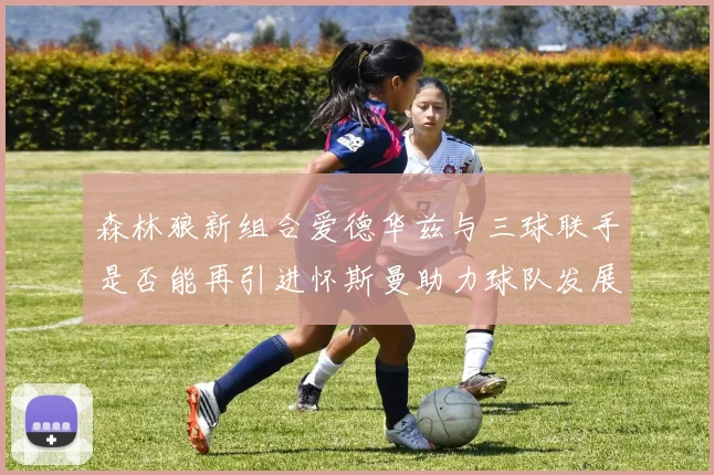 森林狼新组合爱德华兹与三球联手是否能再引进怀斯曼助力球队发展